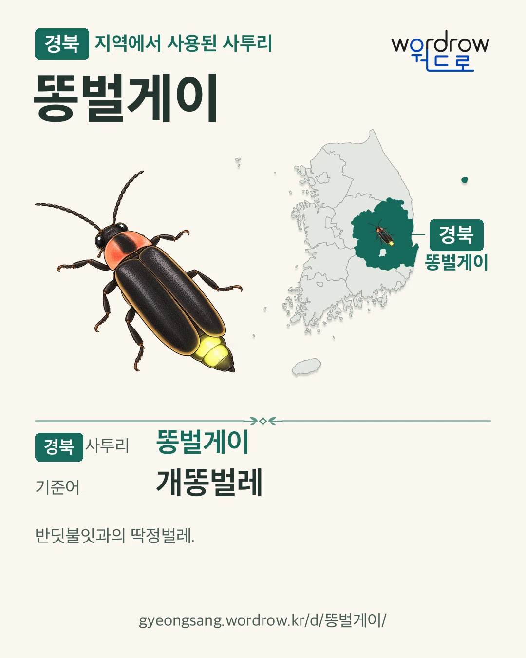 경북 지역에서 사용된 사투리 ‘똥벌게이’. 기준어: 개똥벌레. 기록 지역을 표시한 카툰 삽화와 지도 카드.