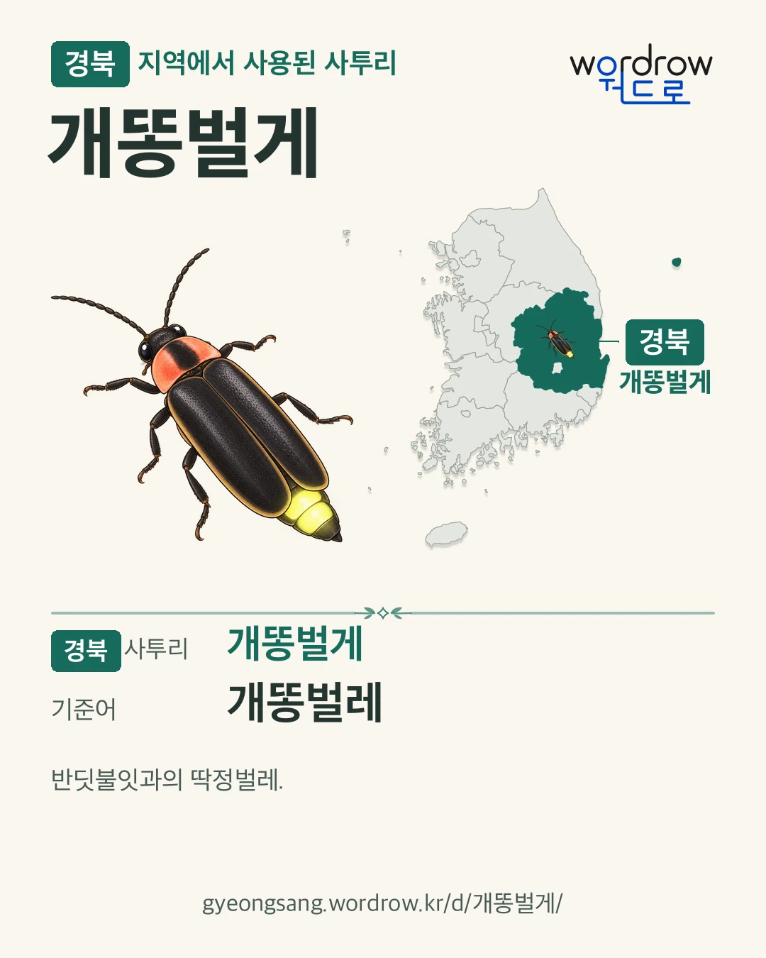 경북 지역에서 사용된 사투리 ‘개똥벌게’. 기준어: 개똥벌레. 기록 지역을 표시한 카툰 삽화와 지도 카드.