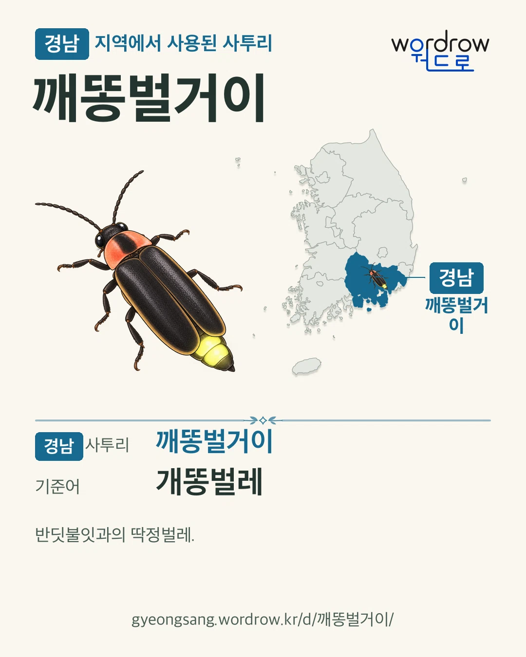 경남 지역에서 사용된 사투리 ‘깨똥벌거이’. 기준어: 개똥벌레. 기록 지역을 표시한 카툰 삽화와 지도 카드.