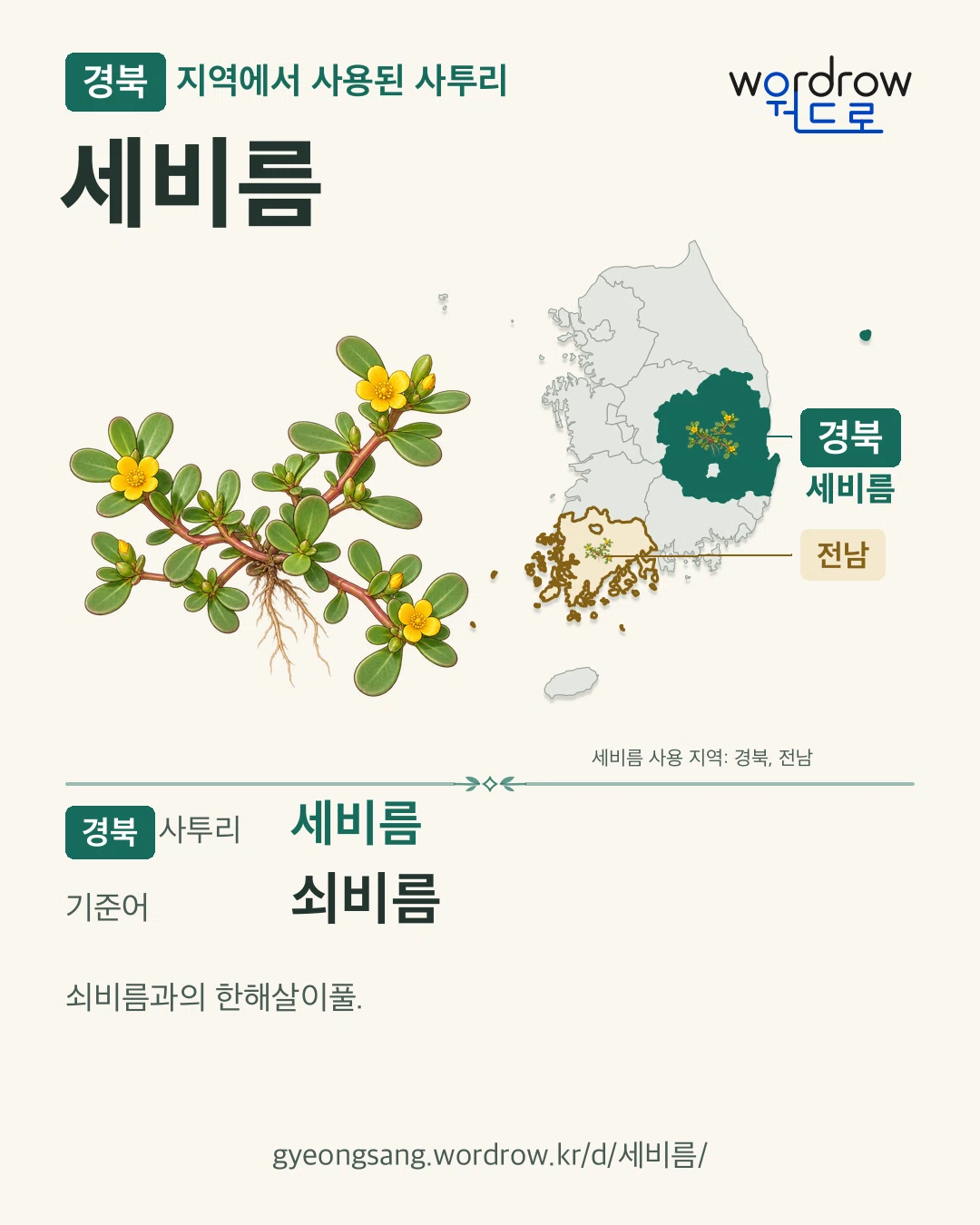 경북 지역에서 사용된 사투리 ‘세비름’. 기준어: 쇠비름. 기록 지역을 표시한 카툰 삽화와 지도 카드.