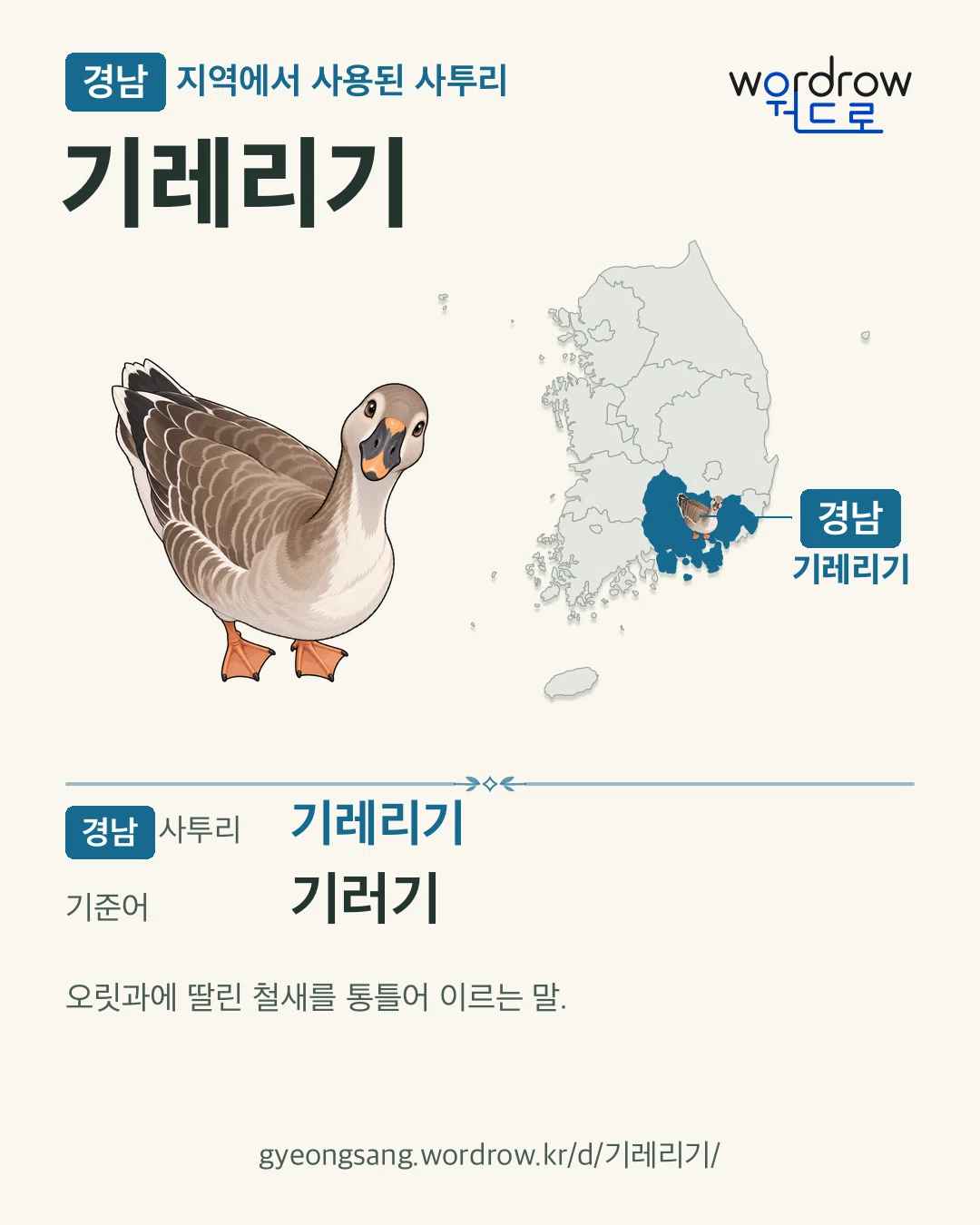 경남 지역에서 사용된 사투리 ‘기레리기’. 기준어: 기러기. 기록 지역을 표시한 카툰 삽화와 지도 카드.