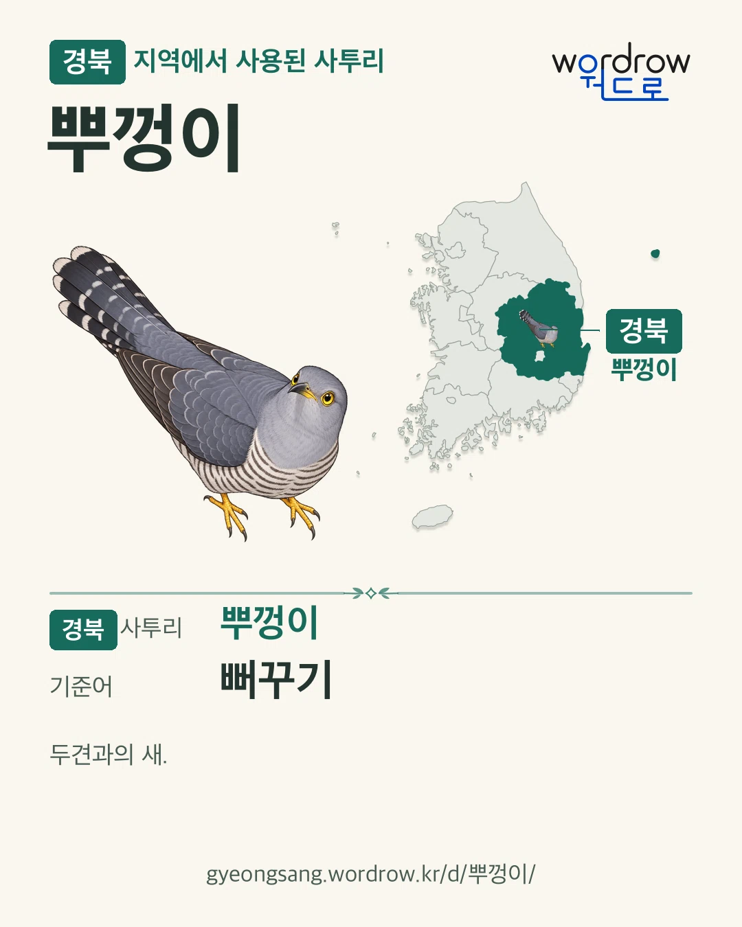 경북 지역에서 사용된 사투리 ‘뿌껑이’. 기준어: 뻐꾸기. 기록 지역을 표시한 카툰 삽화와 지도 카드.
