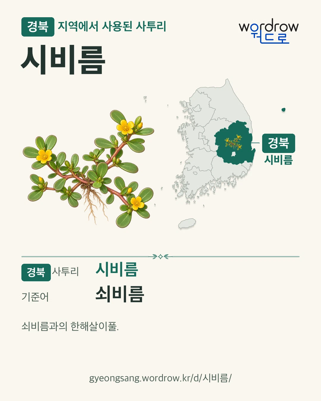 경북 지역에서 사용된 사투리 ‘시비름’. 기준어: 쇠비름. 기록 지역을 표시한 카툰 삽화와 지도 카드.