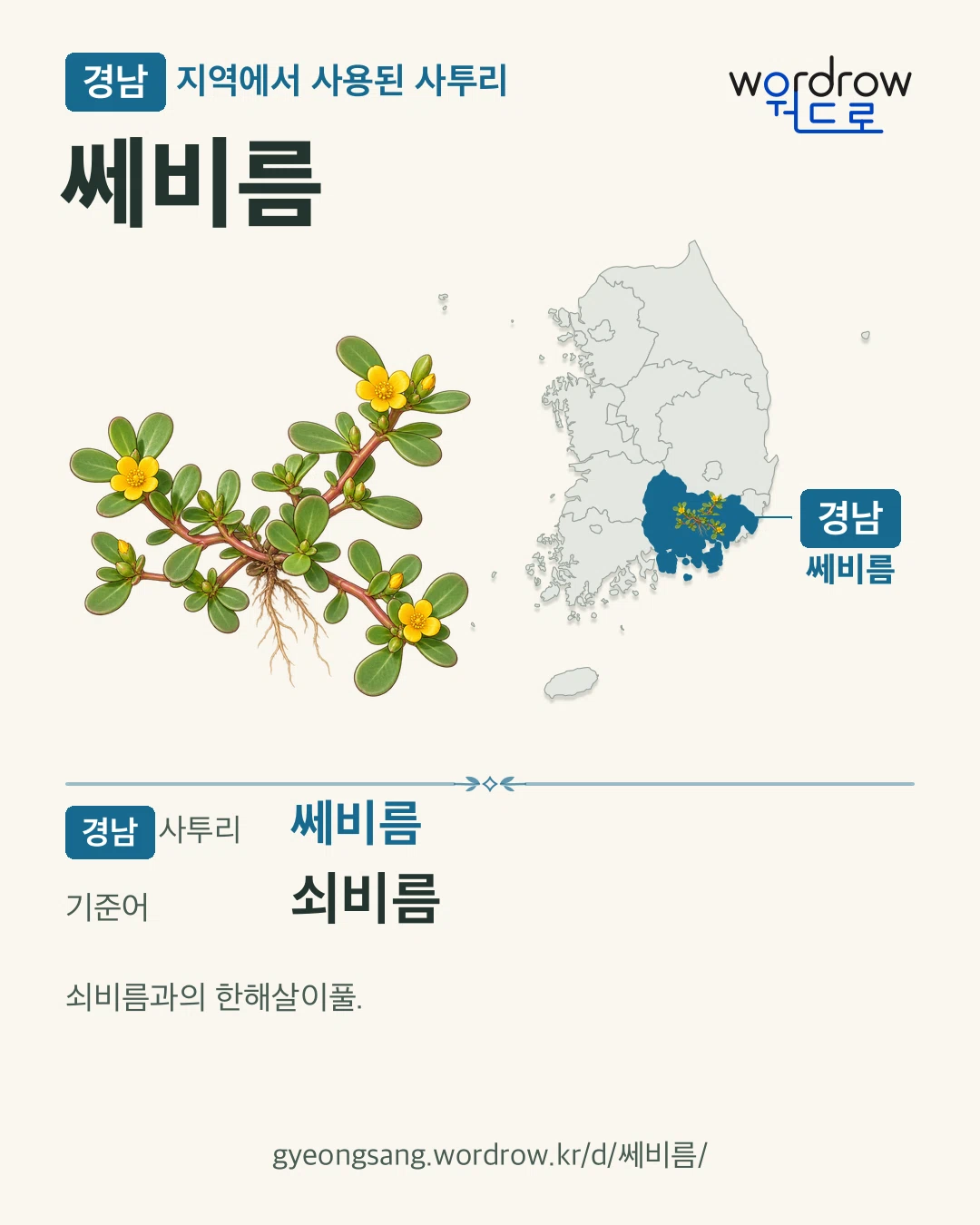 경남 지역에서 사용된 사투리 ‘쎄비름’. 기준어: 쇠비름. 기록 지역을 표시한 카툰 삽화와 지도 카드.