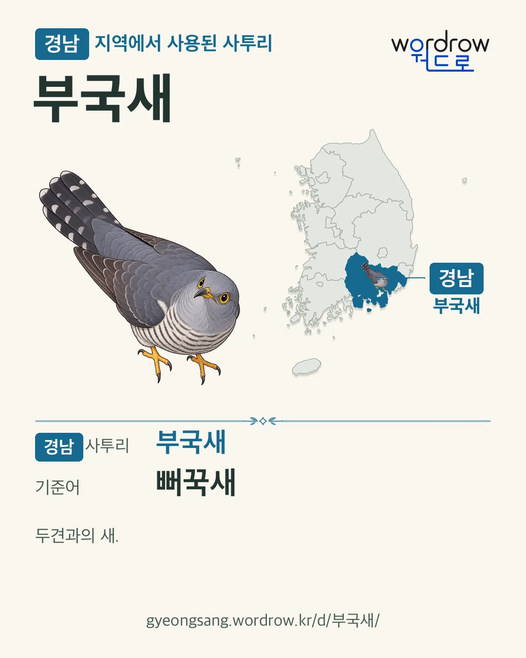 경남 지역에서 사용된 사투리 ‘부국새’. 기준어: 뻐꾹새. 기록 지역을 표시한 카툰 삽화와 지도 카드.
