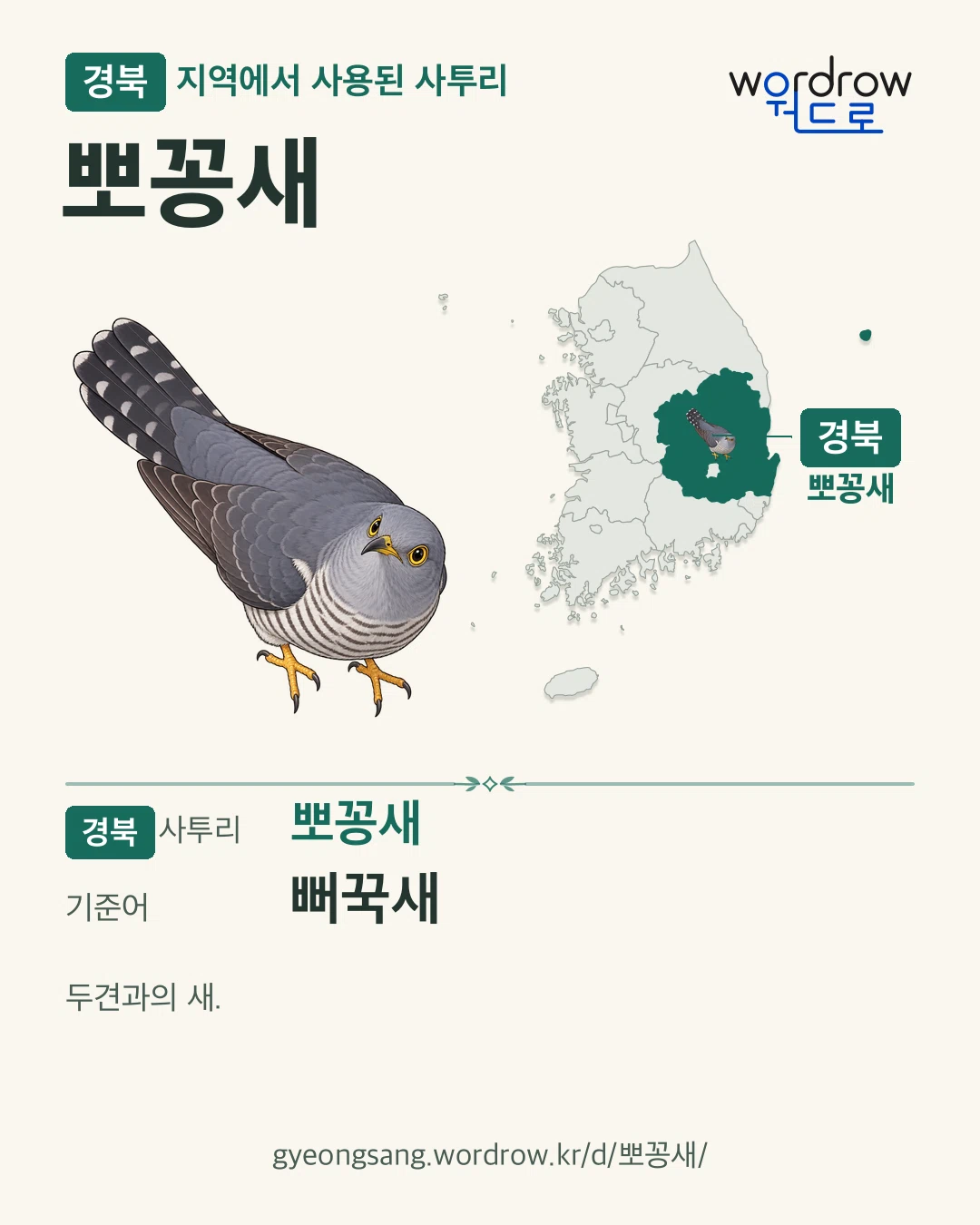 경북 지역에서 사용된 사투리 ‘뽀꽁새’. 기준어: 뻐꾹새. 기록 지역을 표시한 카툰 삽화와 지도 카드.