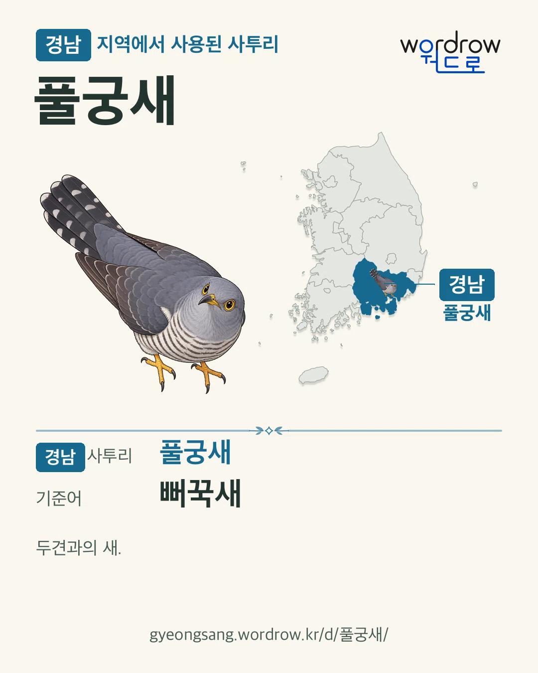 경남 지역에서 사용된 사투리 ‘풀궁새’. 기준어: 뻐꾹새. 기록 지역을 표시한 카툰 삽화와 지도 카드.