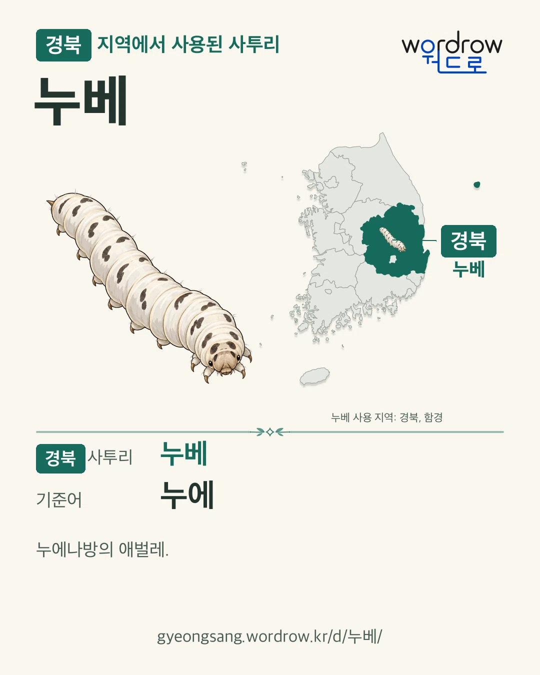 경북 지역에서 사용된 사투리 ‘누베’. 기준어: 누에. 기록 지역을 표시한 카툰 삽화와 지도 카드.
