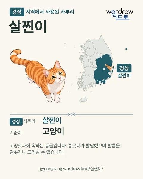 경상 지역에서 사용된 사투리 ‘살찐이’. 기준어: 고양이. 기록 지역을 표시한 카툰 삽화와 지도 카드.