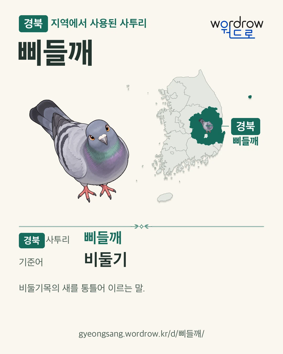 경북 지역에서 사용된 사투리 ‘삐들깨’. 기준어: 비둘기. 기록 지역을 표시한 카툰 삽화와 지도 카드.