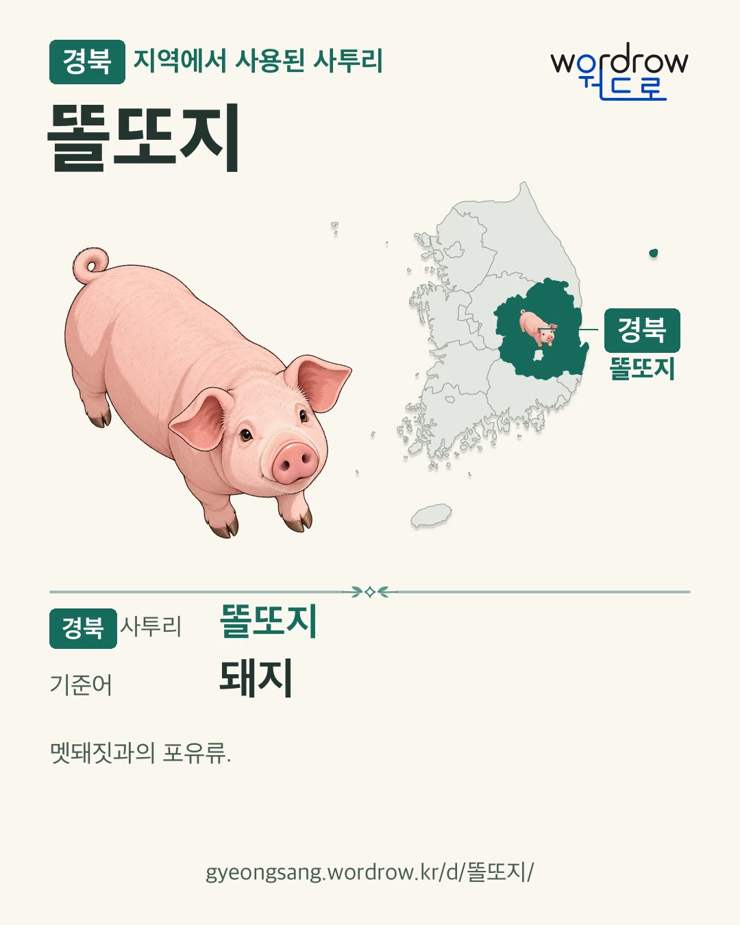 경북 지역에서 사용된 사투리 ‘똘또지’. 기준어: 돼지. 기록 지역을 표시한 카툰 삽화와 지도 카드.