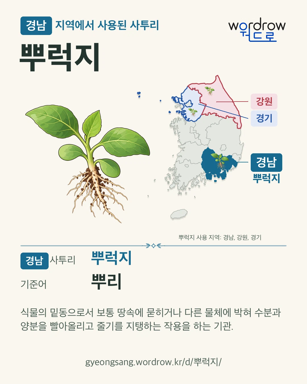 경남 지역에서 사용된 사투리 ‘뿌럭지’. 기준어: 뿌리. 기록 지역을 표시한 카툰 삽화와 지도 카드.