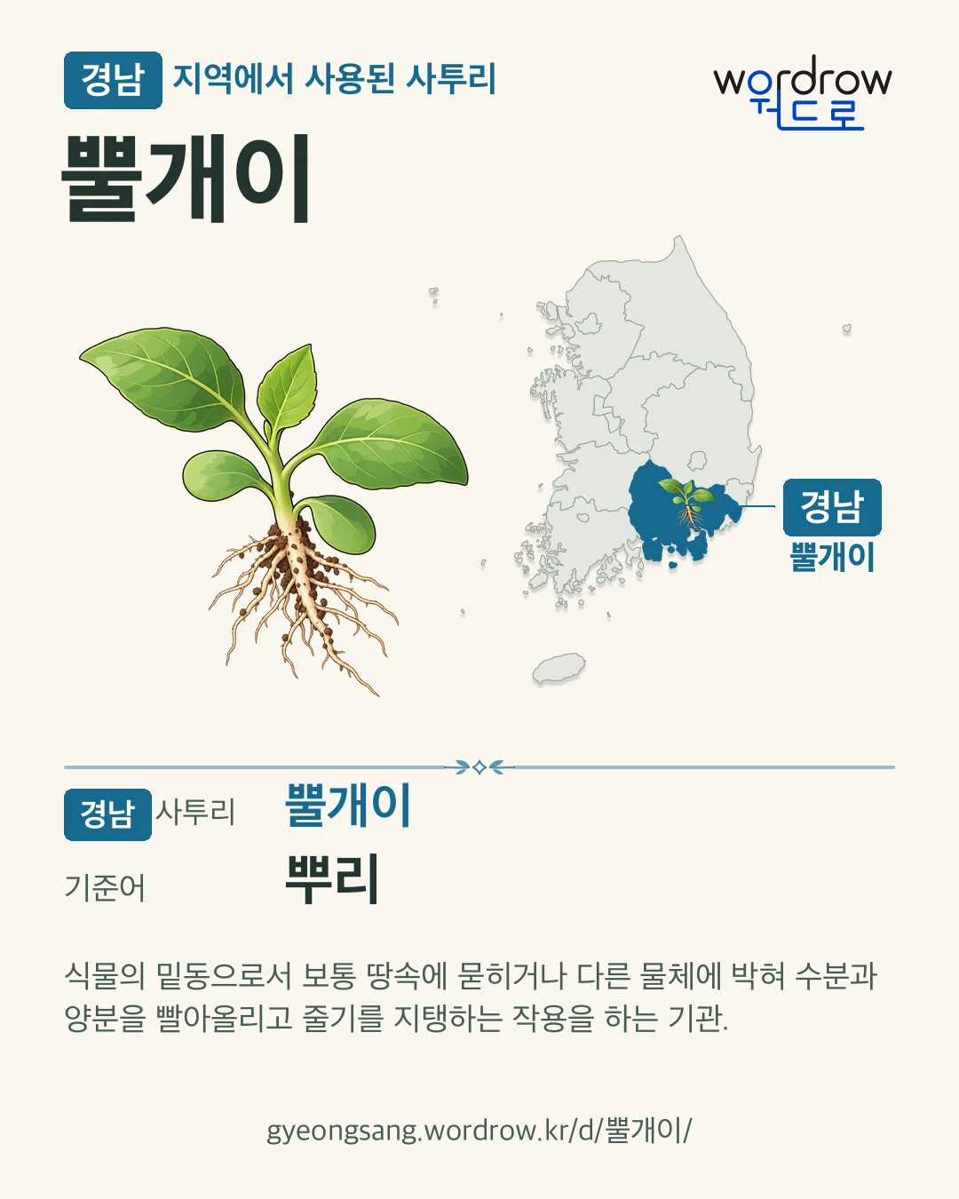 경남 지역에서 사용된 사투리 ‘뿔개이’. 기준어: 뿌리. 기록 지역을 표시한 카툰 삽화와 지도 카드.