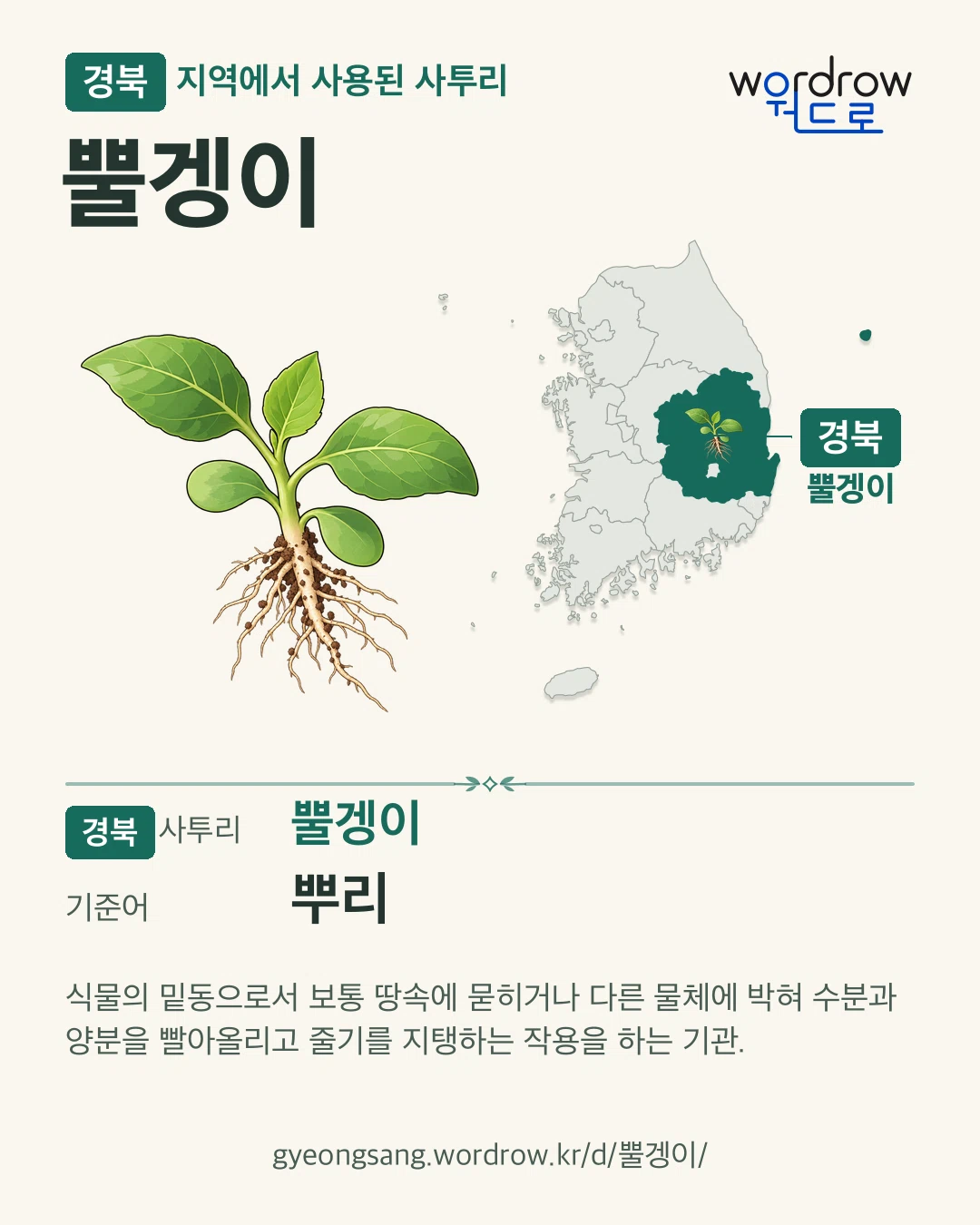 경북 지역에서 사용된 사투리 ‘뿔겡이’. 기준어: 뿌리. 기록 지역을 표시한 카툰 삽화와 지도 카드.