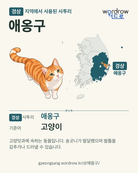 경상 지역에서 사용된 사투리 ‘애옹구’. 기준어: 고양이. 기록 지역을 표시한 카툰 삽화와 지도 카드.