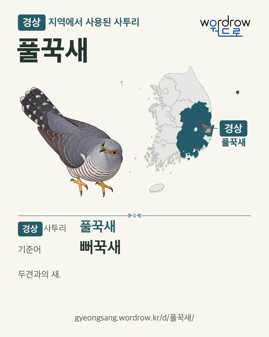 경상 지역에서 사용된 사투리 ‘풀꾹새’. 기준어: 뻐꾹새. 기록 지역을 표시한 카툰 삽화와 지도 카드.