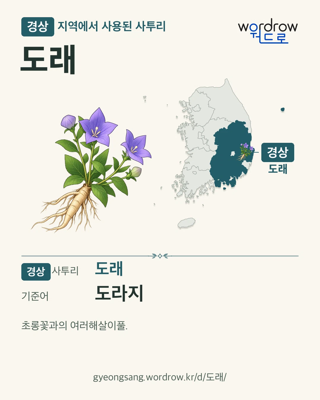 경상 지역에서 사용된 사투리 ‘도래’. 기준어: 도라지. 기록 지역을 표시한 카툰 삽화와 지도 카드.