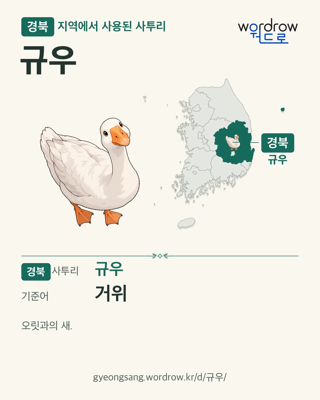 경북 지역에서 사용된 사투리 ‘규우’. 기준어: 거위. 기록 지역을 표시한 카툰 삽화와 지도 카드.