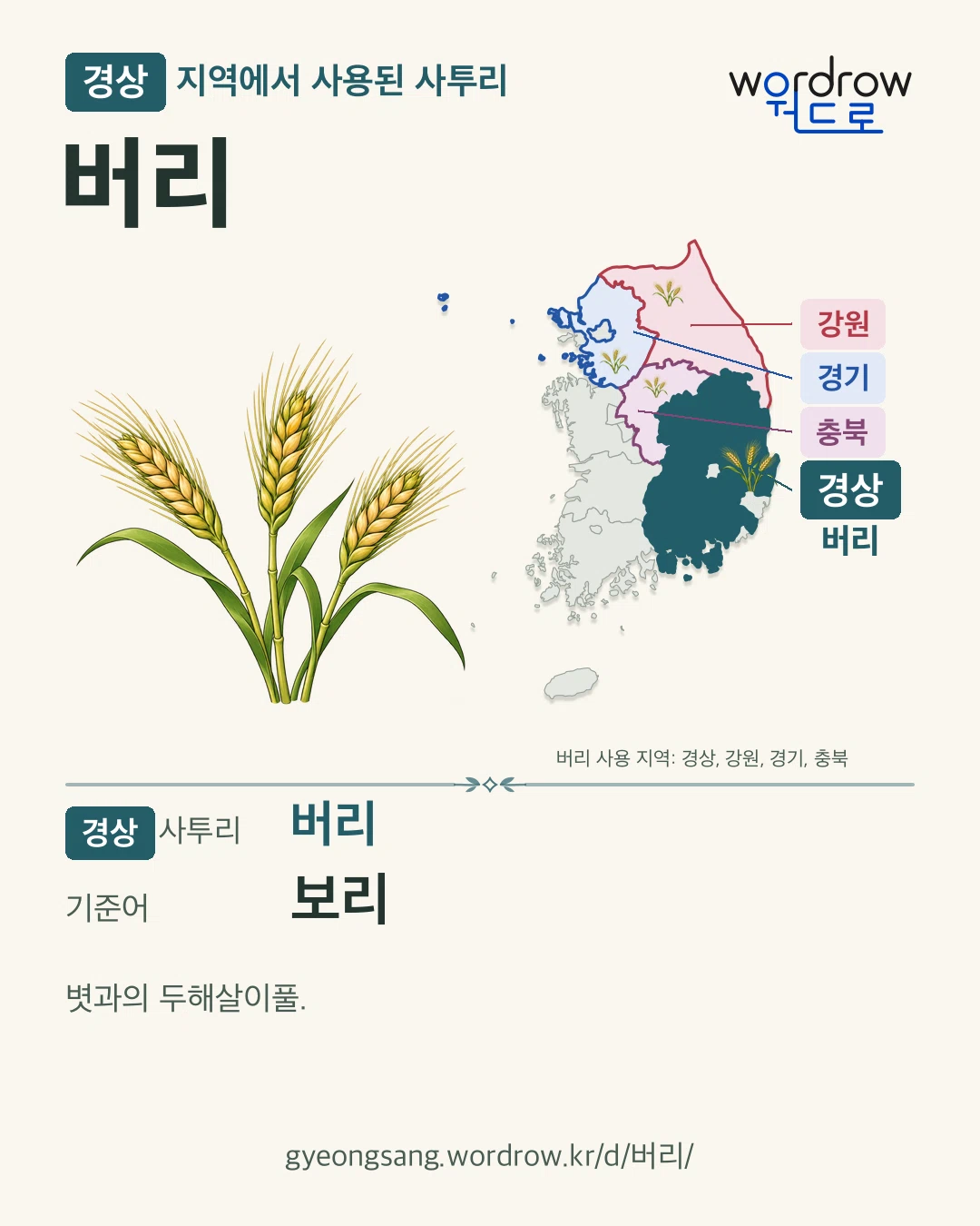경상 지역에서 사용된 사투리 ‘버리’. 기준어: 보리. 기록 지역을 표시한 카툰 삽화와 지도 카드.