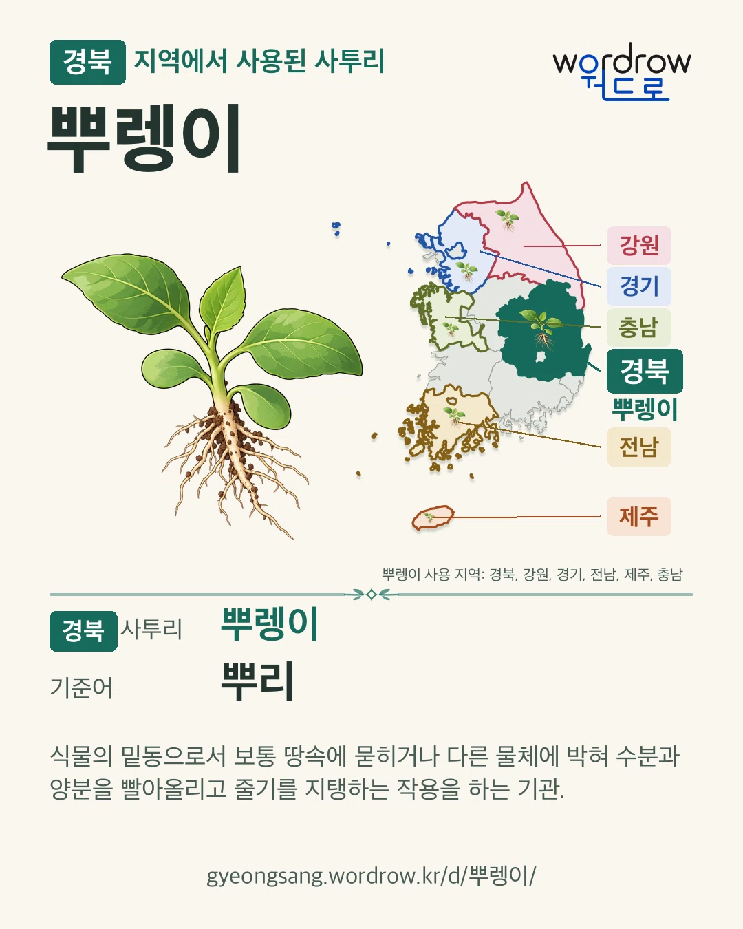 경북 지역에서 사용된 사투리 ‘뿌렝이’. 기준어: 뿌리. 기록 지역을 표시한 카툰 삽화와 지도 카드.