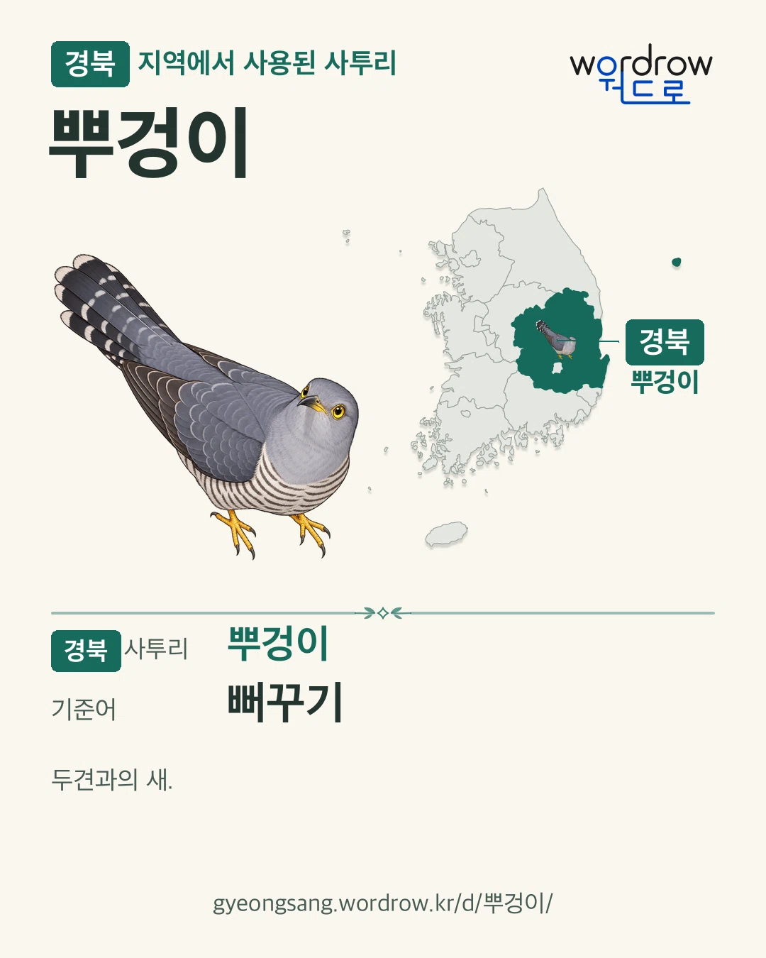 경북 지역에서 사용된 사투리 ‘뿌겅이’. 기준어: 뻐꾸기. 기록 지역을 표시한 카툰 삽화와 지도 카드.