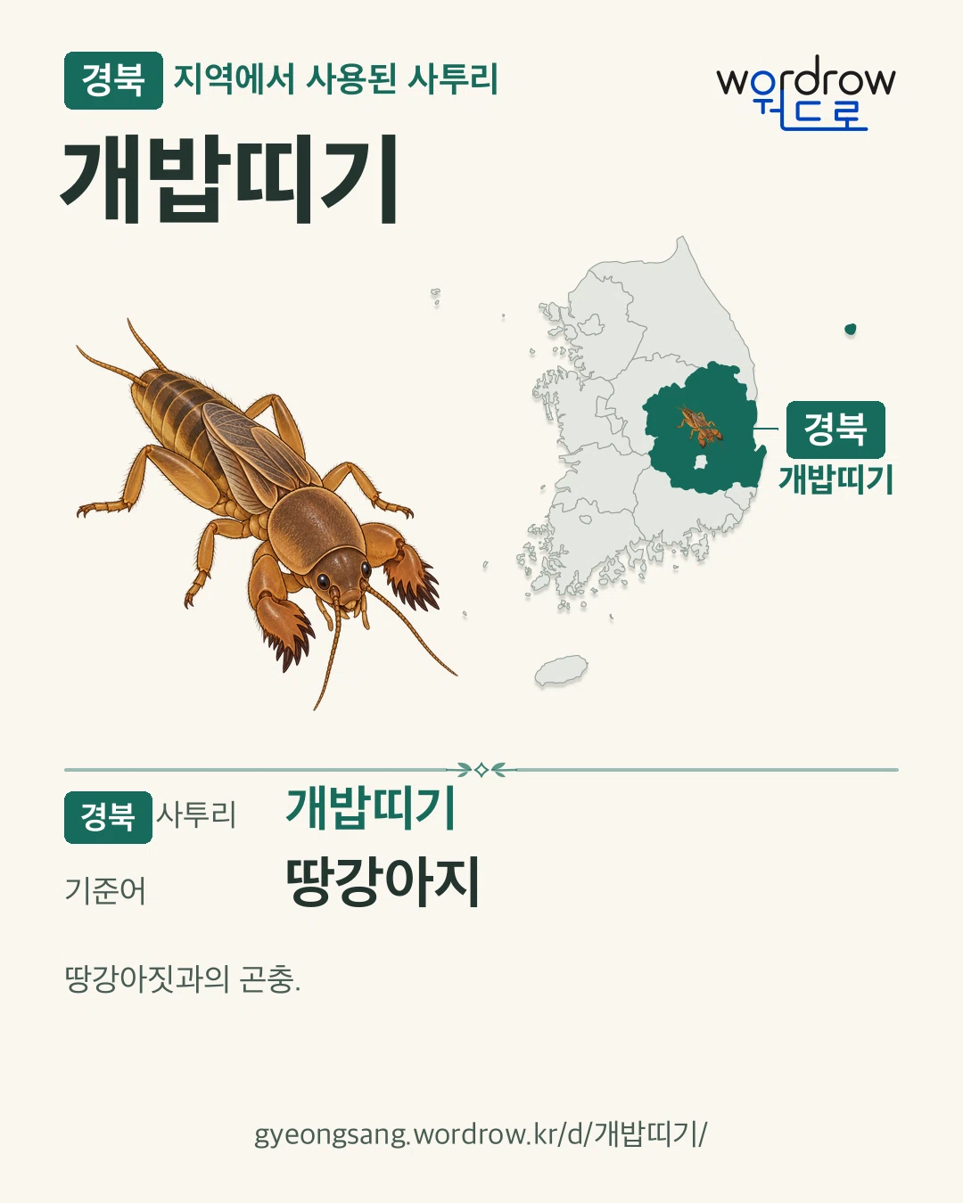 경북 지역에서 사용된 사투리 ‘개밥띠기’. 기준어: 땅강아지. 기록 지역을 표시한 카툰 삽화와 지도 카드.