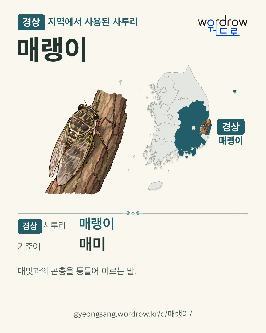 경상 지역에서 사용된 사투리 ‘매랭이’. 기준어: 매미. 기록 지역을 표시한 카툰 삽화와 지도 카드.
