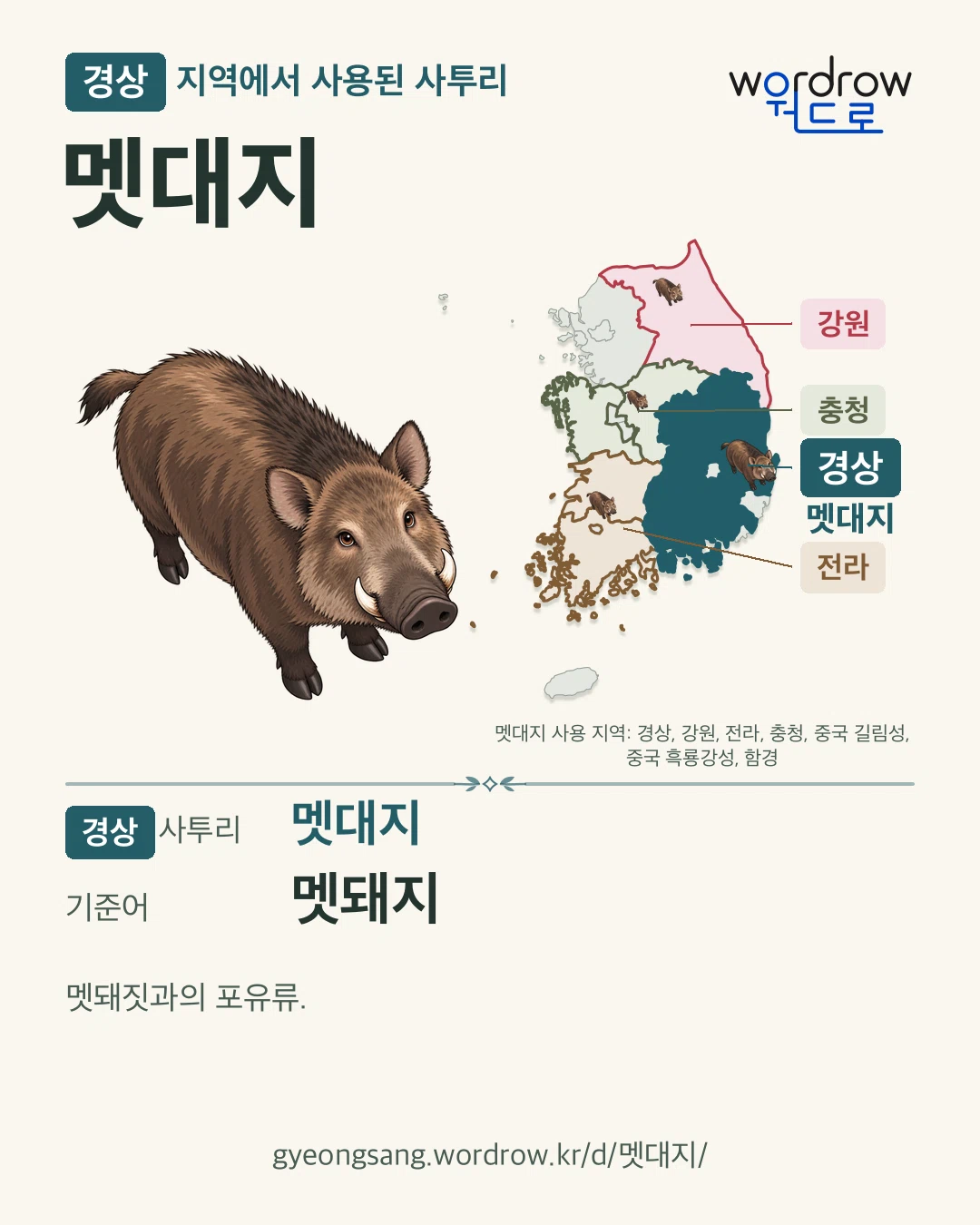 경상 지역에서 사용된 사투리 ‘멧대지’. 기준어: 멧돼지. 기록 지역을 표시한 카툰 삽화와 지도 카드.