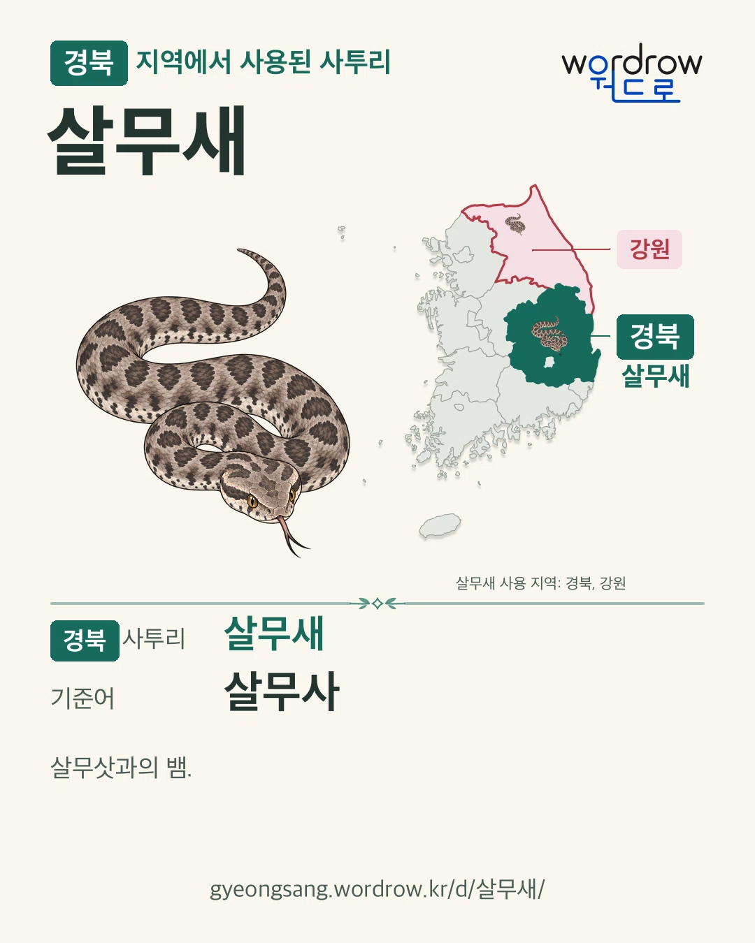 경북 지역에서 사용된 사투리 ‘살무새’. 기준어: 살무사. 기록 지역을 표시한 카툰 삽화와 지도 카드.
