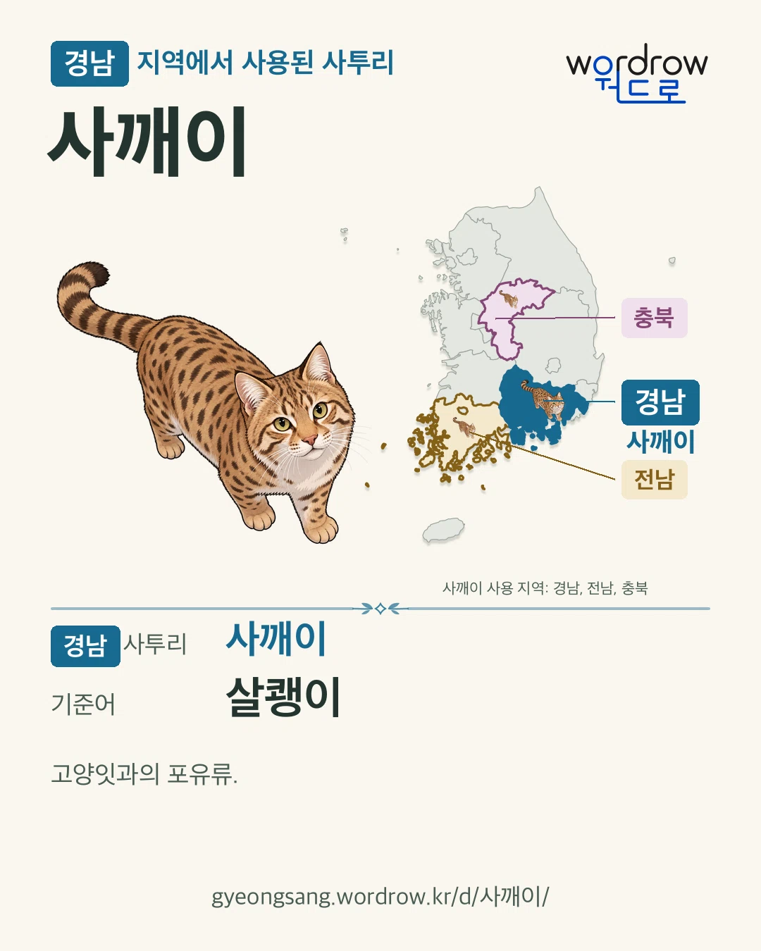 경남 지역에서 사용된 사투리 ‘사깨이’. 기준어: 살쾡이. 기록 지역을 표시한 카툰 삽화와 지도 카드.