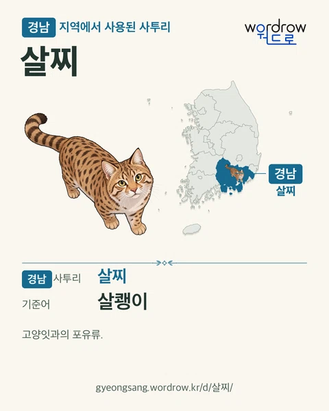 경남 지역에서 사용된 사투리 ‘살찌’. 기준어: 살쾡이. 기록 지역을 표시한 카툰 삽화와 지도 카드.