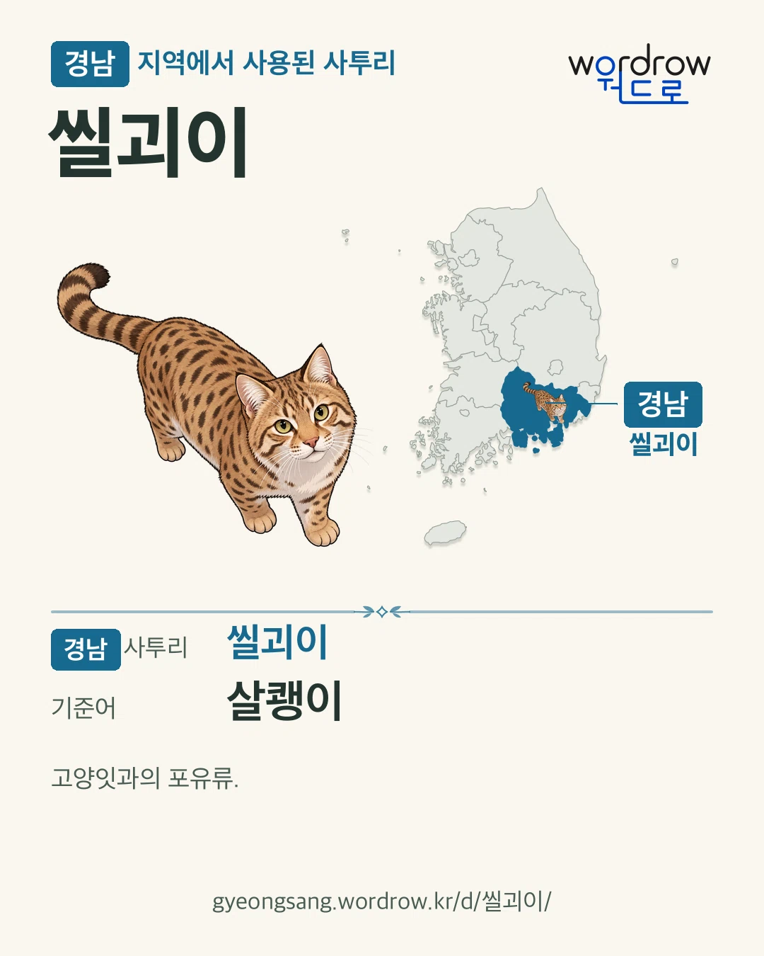 경남 지역에서 사용된 사투리 ‘씰괴이’. 기준어: 살쾡이. 기록 지역을 표시한 카툰 삽화와 지도 카드.