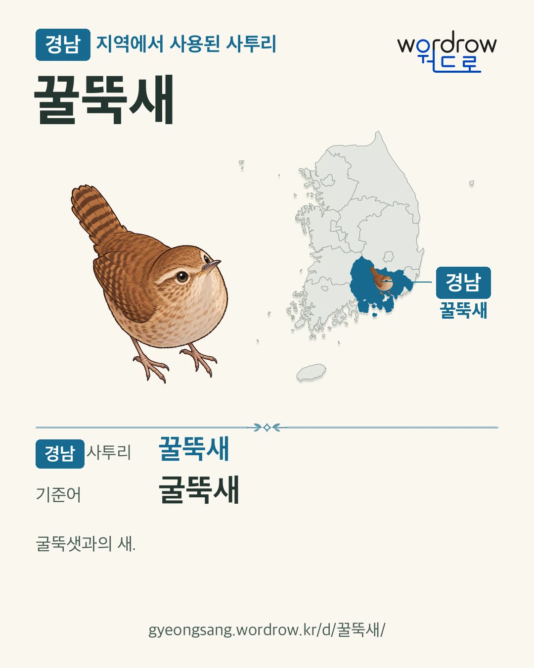 경남 지역에서 사용된 사투리 ‘꿀뚝새’. 기준어: 굴뚝새. 기록 지역을 표시한 카툰 삽화와 지도 카드.