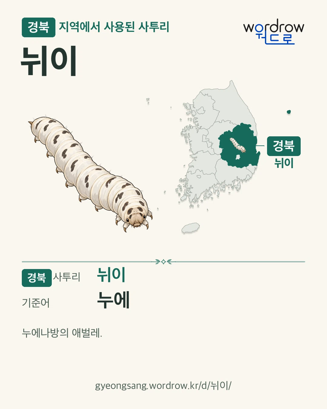 경북 지역에서 사용된 사투리 ‘뉘이’. 기준어: 누에. 기록 지역을 표시한 카툰 삽화와 지도 카드.