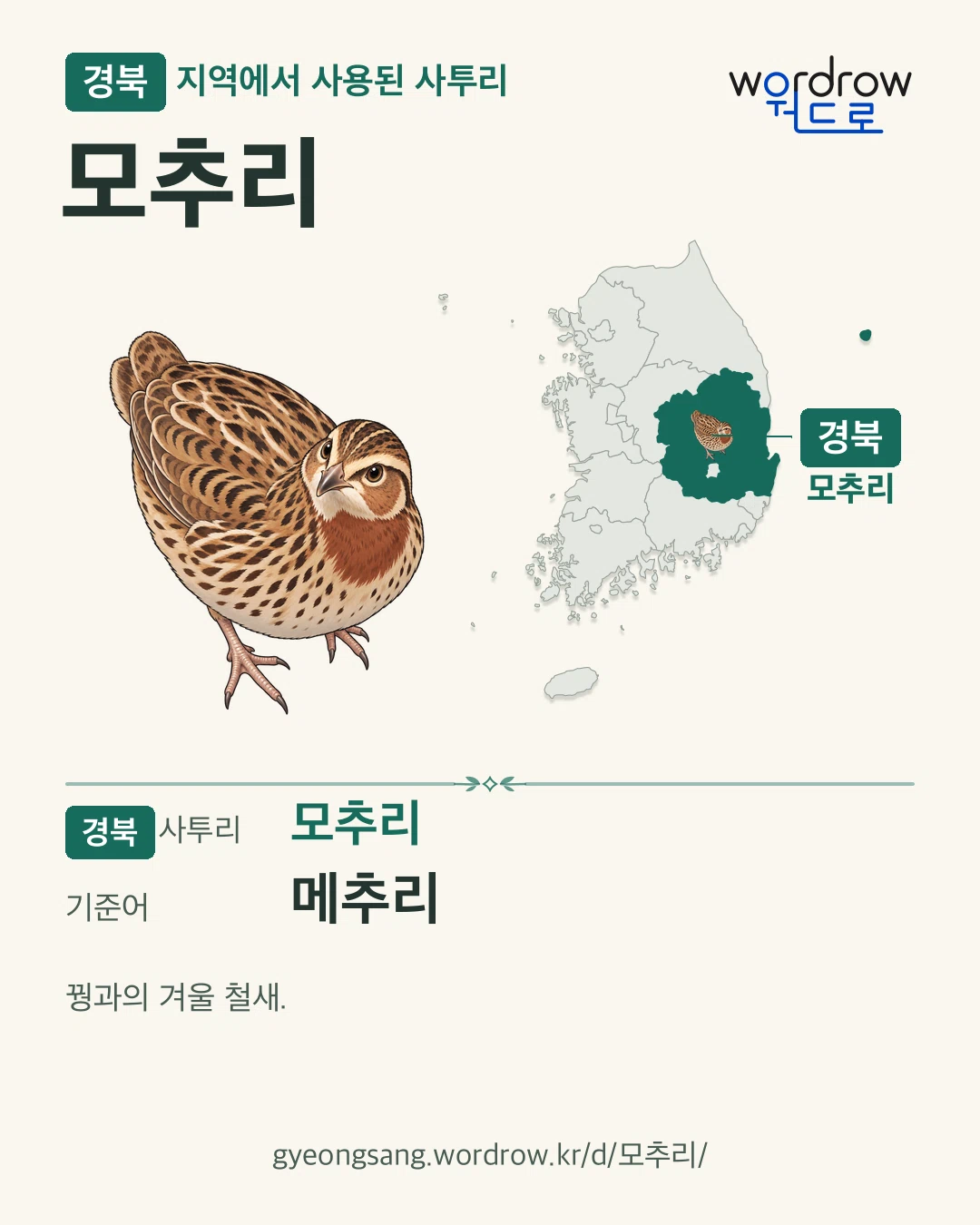 경북 지역에서 사용된 사투리 ‘모추리’. 기준어: 메추리. 기록 지역을 표시한 카툰 삽화와 지도 카드.