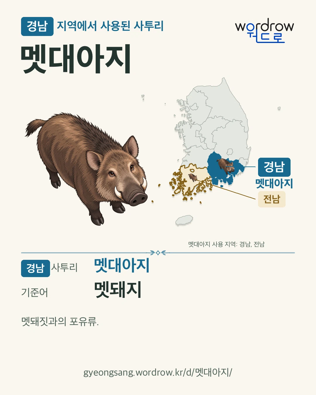 경남 지역에서 사용된 사투리 ‘멧대아지’. 기준어: 멧돼지. 기록 지역을 표시한 카툰 삽화와 지도 카드.