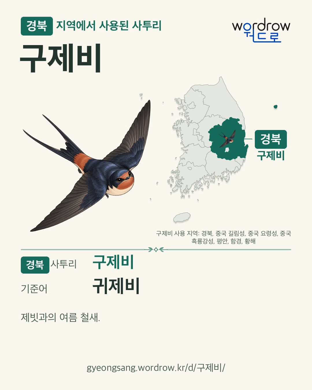 경북 지역에서 사용된 사투리 ‘구제비’. 기준어: 귀제비. 기록 지역을 표시한 카툰 삽화와 지도 카드.