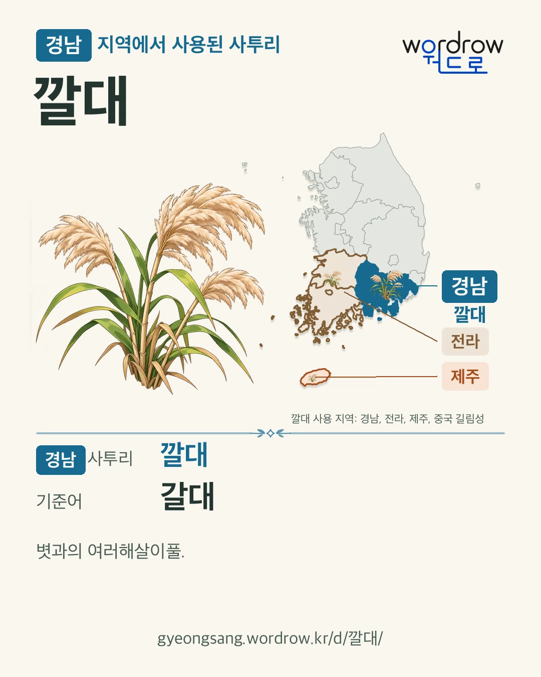 경남 지역에서 사용된 사투리 ‘깔대’. 기준어: 갈대. 기록 지역을 표시한 카툰 삽화와 지도 카드.