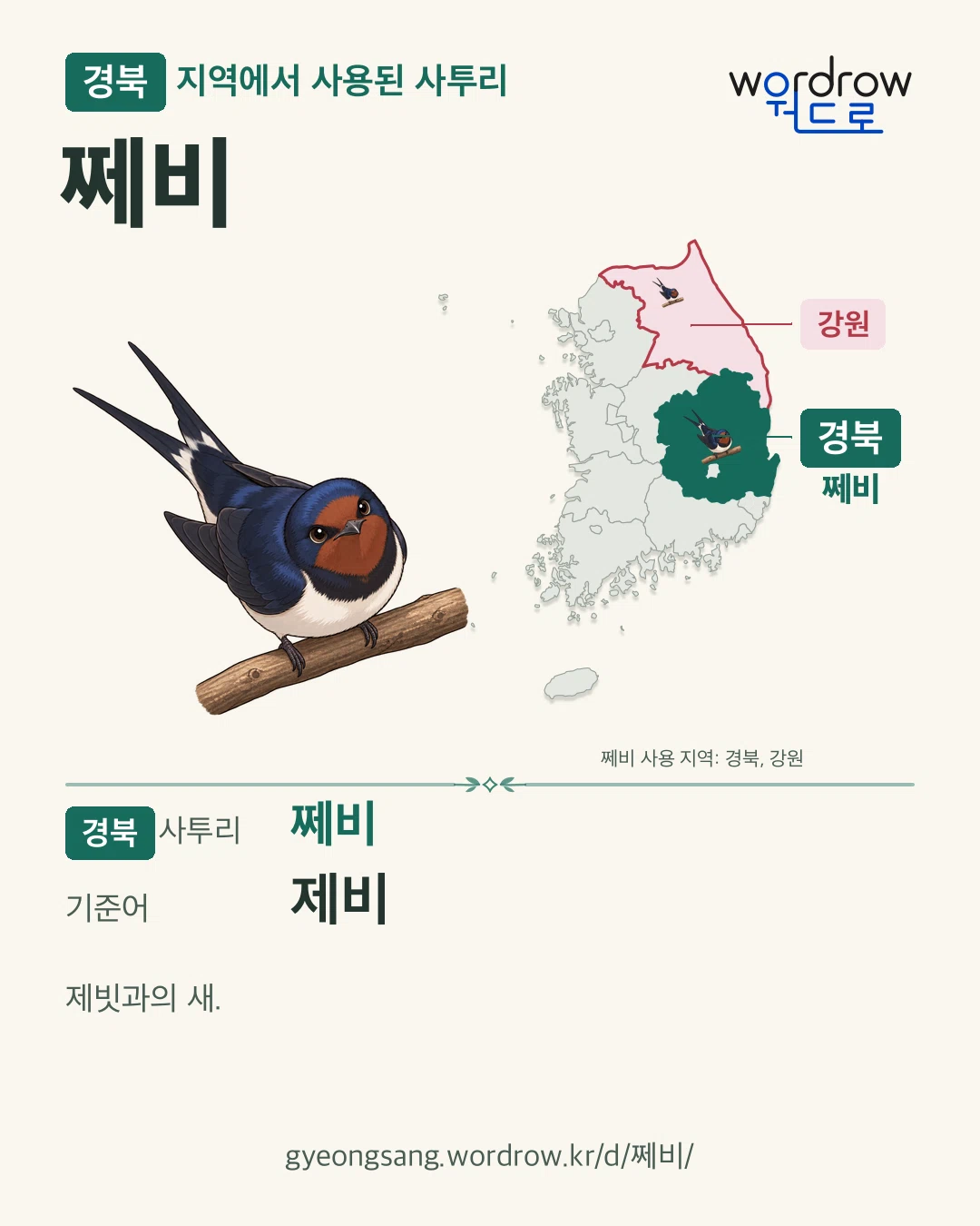 경북 지역에서 사용된 사투리 ‘쩨비’. 기준어: 제비. 기록 지역을 표시한 카툰 삽화와 지도 카드.