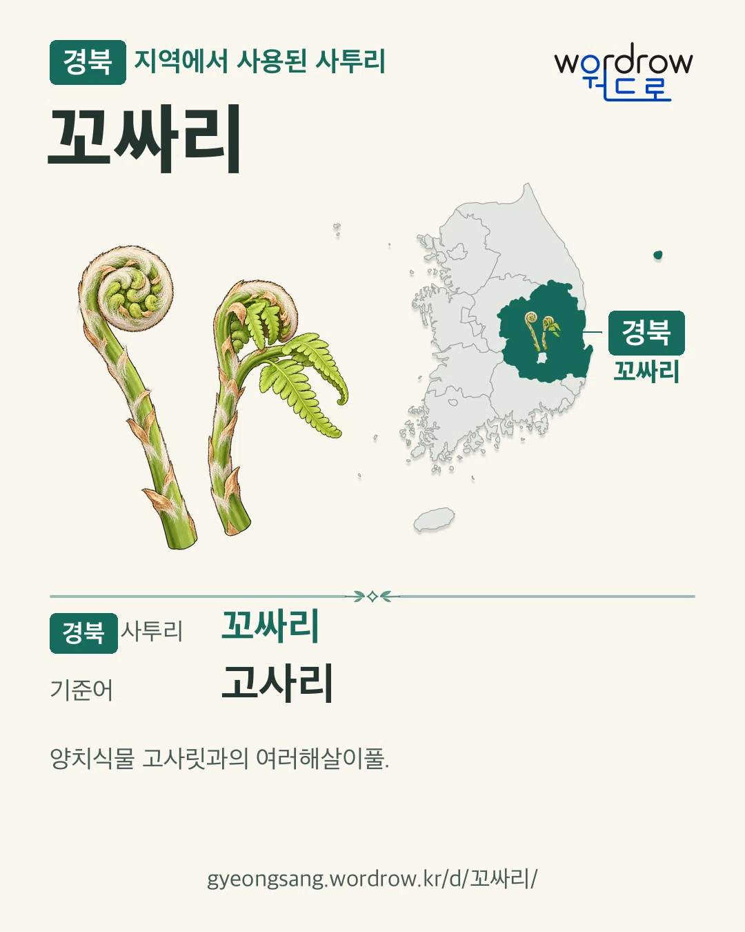 경북 지역에서 사용된 사투리 ‘꼬싸리’. 기준어: 고사리. 기록 지역을 표시한 카툰 삽화와 지도 카드.