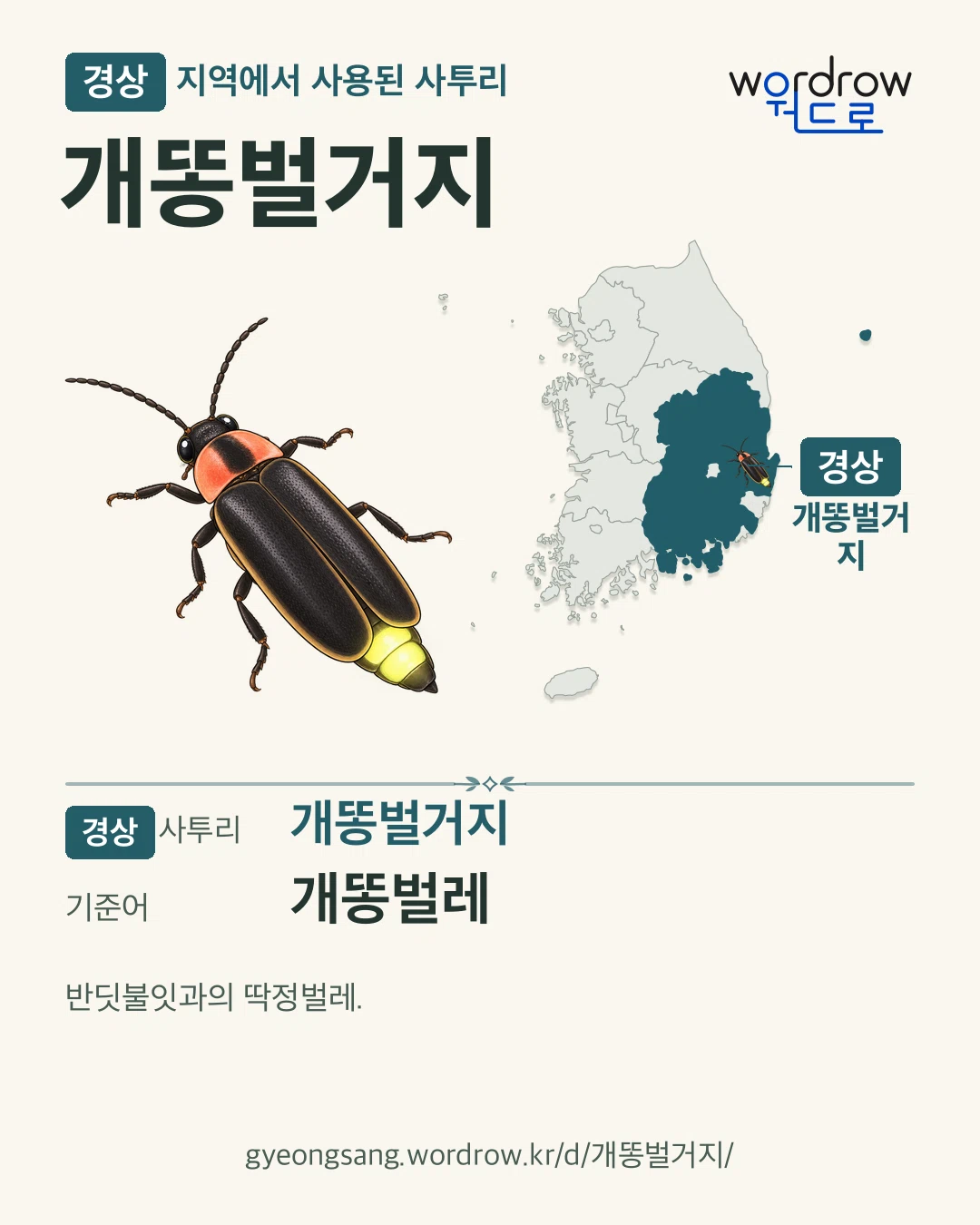 경상 지역에서 사용된 사투리 ‘개똥벌거지’. 기준어: 개똥벌레. 기록 지역을 표시한 카툰 삽화와 지도 카드.
