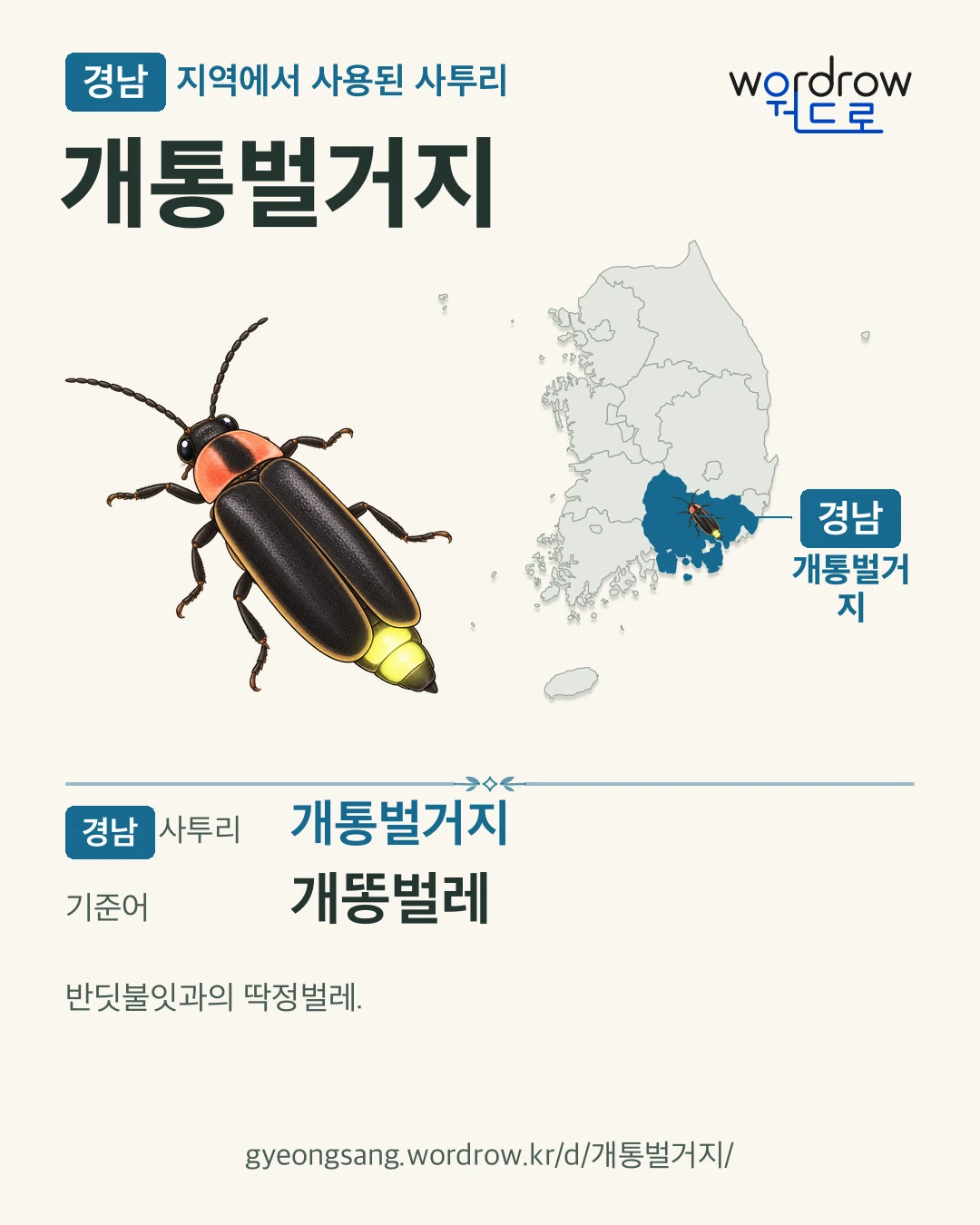 경남 지역에서 사용된 사투리 ‘개통벌거지’. 기준어: 개똥벌레. 기록 지역을 표시한 카툰 삽화와 지도 카드.