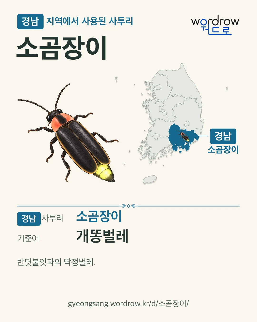 경남 지역에서 사용된 사투리 ‘소곰장이’. 기준어: 개똥벌레. 기록 지역을 표시한 카툰 삽화와 지도 카드.