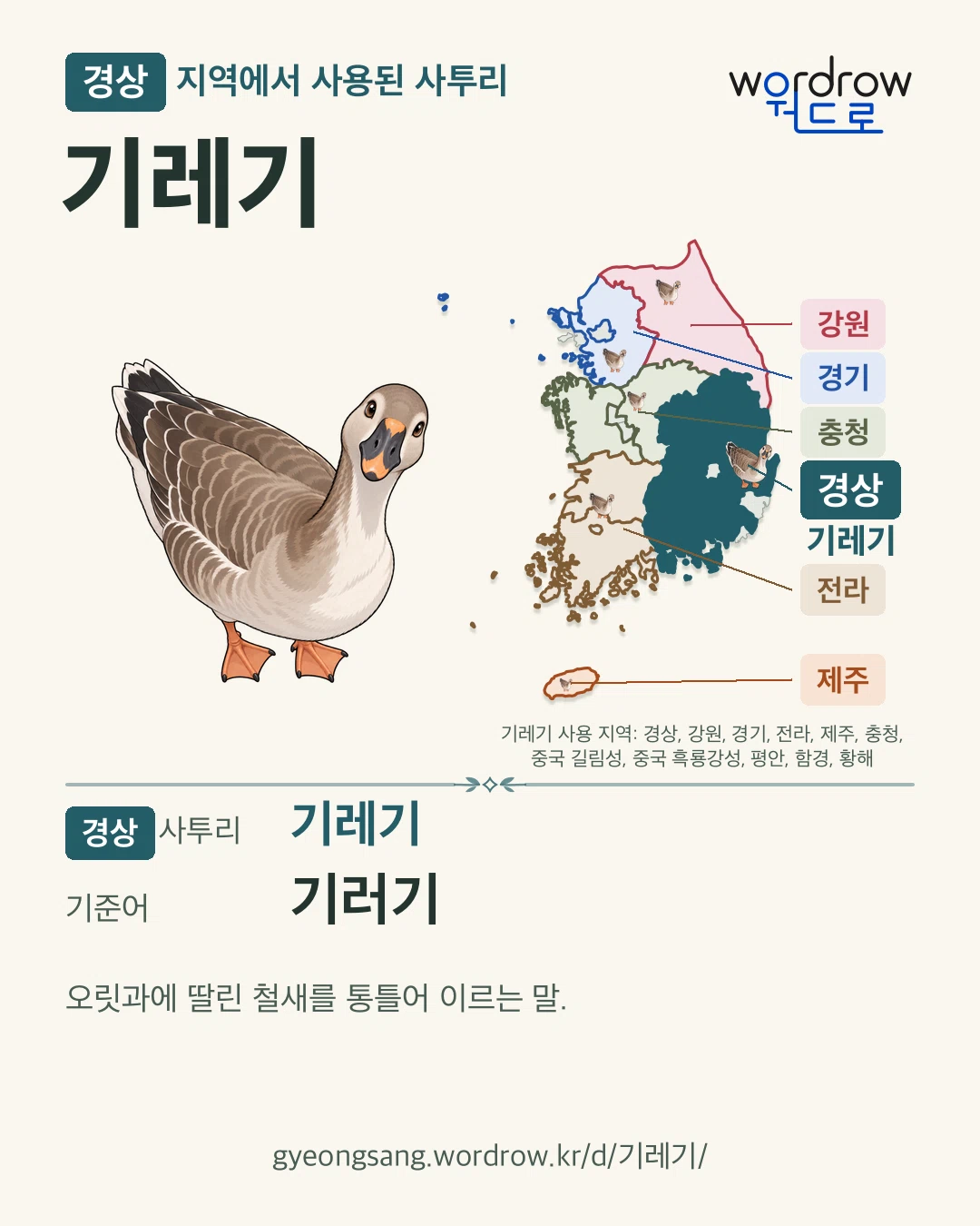 경상 지역에서 사용된 사투리 ‘기레기’. 기준어: 기러기. 기록 지역을 표시한 카툰 삽화와 지도 카드.