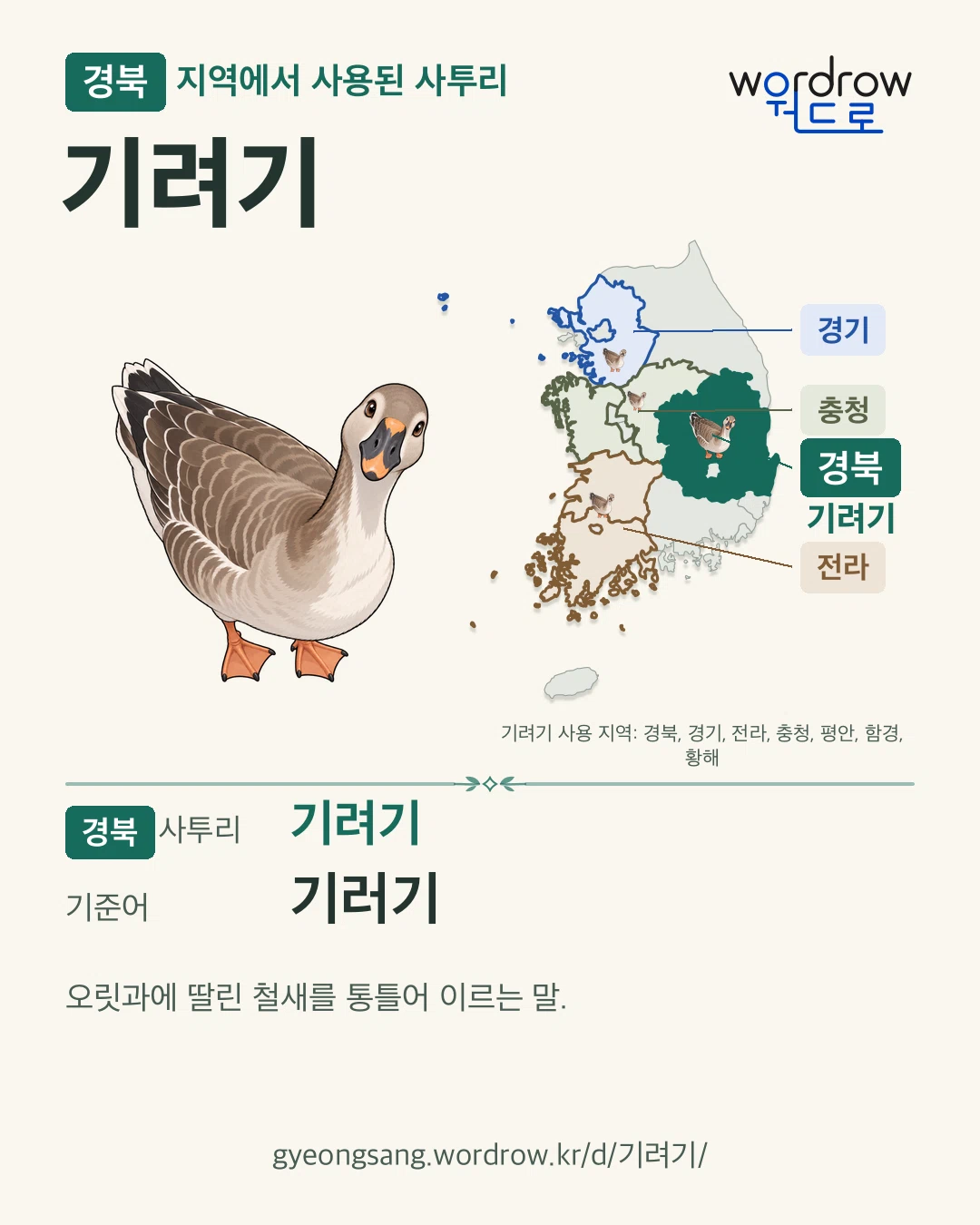 경북 지역에서 사용된 사투리 ‘기려기’. 기준어: 기러기. 기록 지역을 표시한 카툰 삽화와 지도 카드.