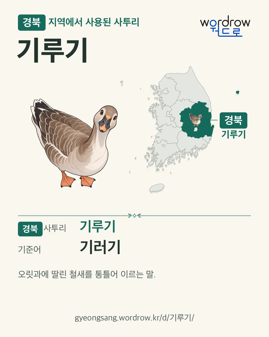 경북 지역에서 사용된 사투리 ‘기루기’. 기준어: 기러기. 기록 지역을 표시한 카툰 삽화와 지도 카드.