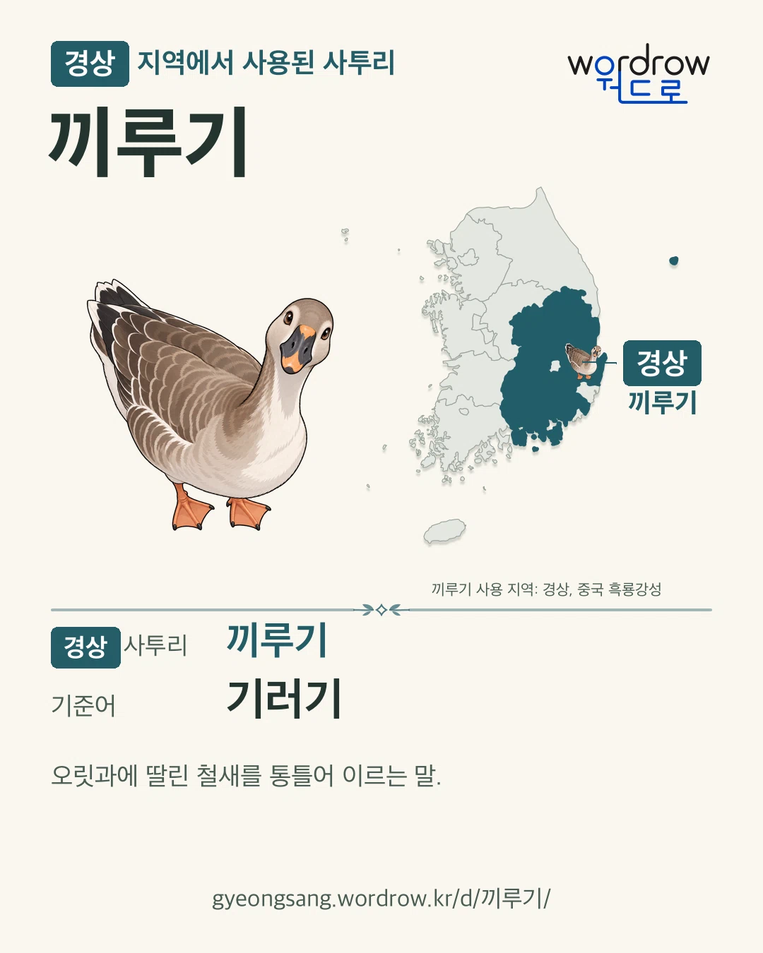 경상 지역에서 사용된 사투리 ‘끼루기’. 기준어: 기러기. 기록 지역을 표시한 카툰 삽화와 지도 카드.