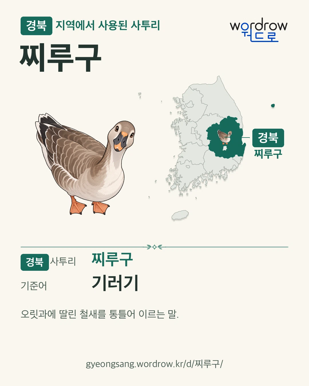 경북 지역에서 사용된 사투리 ‘찌루구’. 기준어: 기러기. 기록 지역을 표시한 카툰 삽화와 지도 카드.
