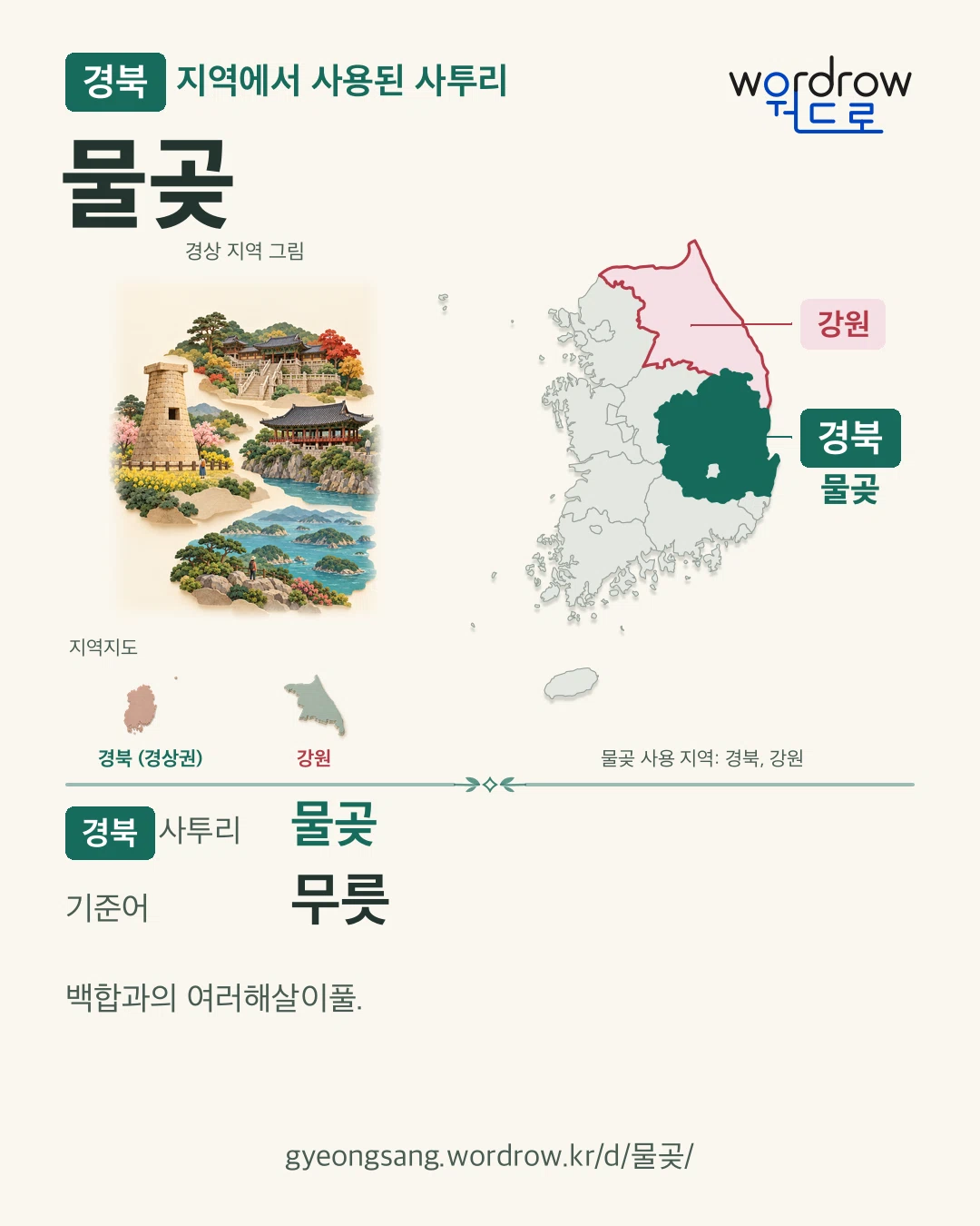 경북 지역에서 사용된 사투리 ‘물곶’. 기준어: 무릇. 기록 지역을 표시한 지역 그림과 지도 카드.