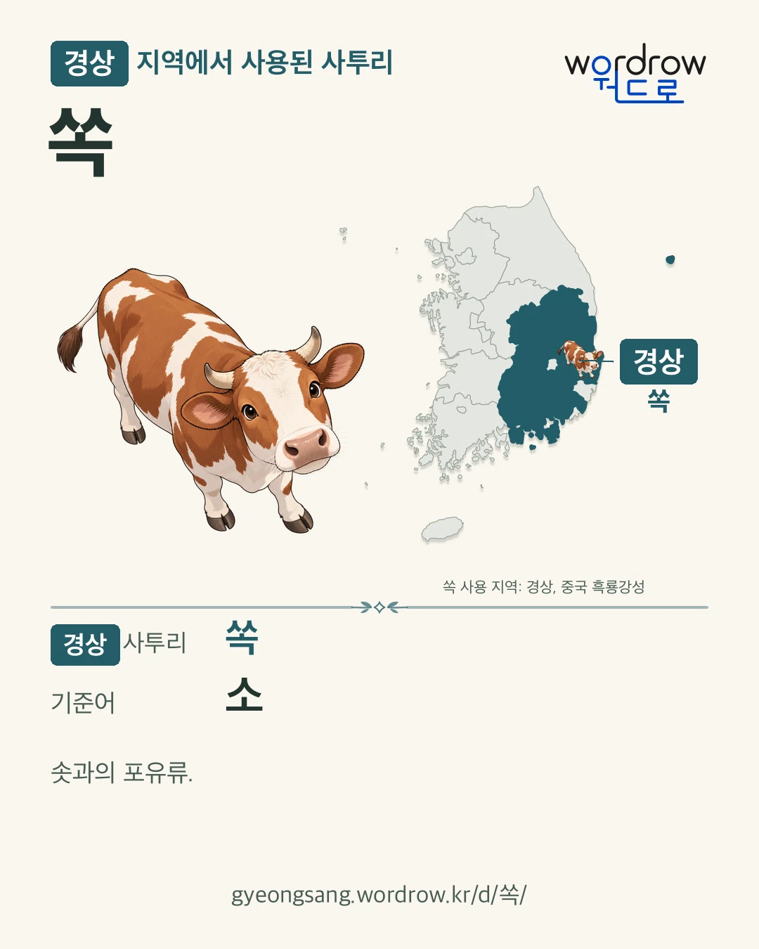 경상 지역에서 사용된 사투리 ‘쏙’. 기준어: 소. 기록 지역을 표시한 카툰 삽화와 지도 카드.